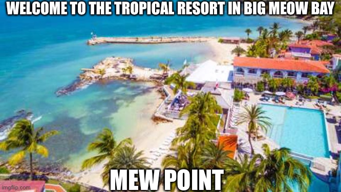 Welcome to the tropical resort! Say MEW In the comments to get a ticket! | WELCOME TO THE TROPICAL RESORT IN BIG MEOW BAY; MEW POINT | image tagged in mew | made w/ Imgflip meme maker