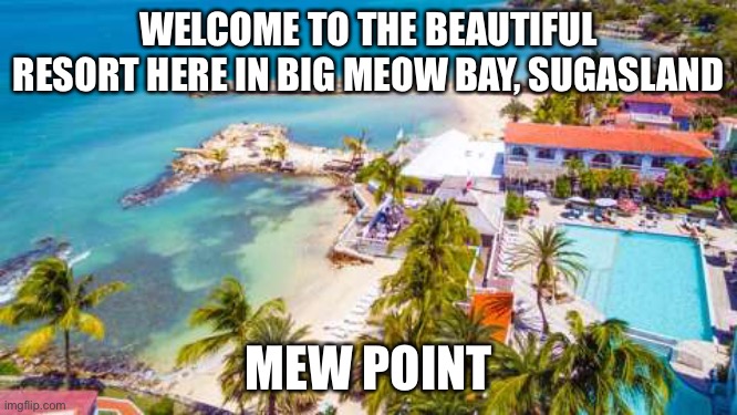 Say MEW in the comments for a flight ticket | WELCOME TO THE BEAUTIFUL RESORT HERE IN BIG MEOW BAY, SUGASLAND; MEW POINT | made w/ Imgflip meme maker