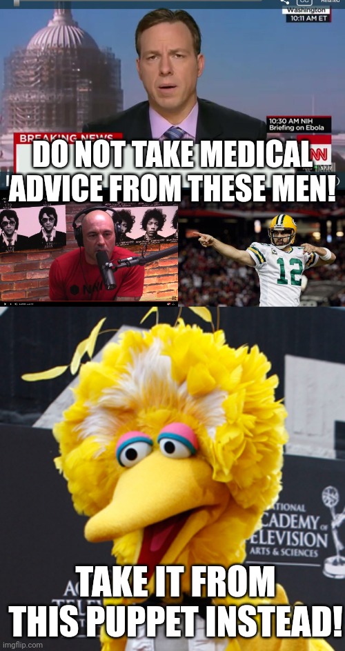wokka | DO NOT TAKE MEDICAL ADVICE FROM THESE MEN! TAKE IT FROM THIS PUPPET INSTEAD! | image tagged in cnn breaking news template,joe rogan,aaron rodgers,memes,big bird | made w/ Imgflip meme maker