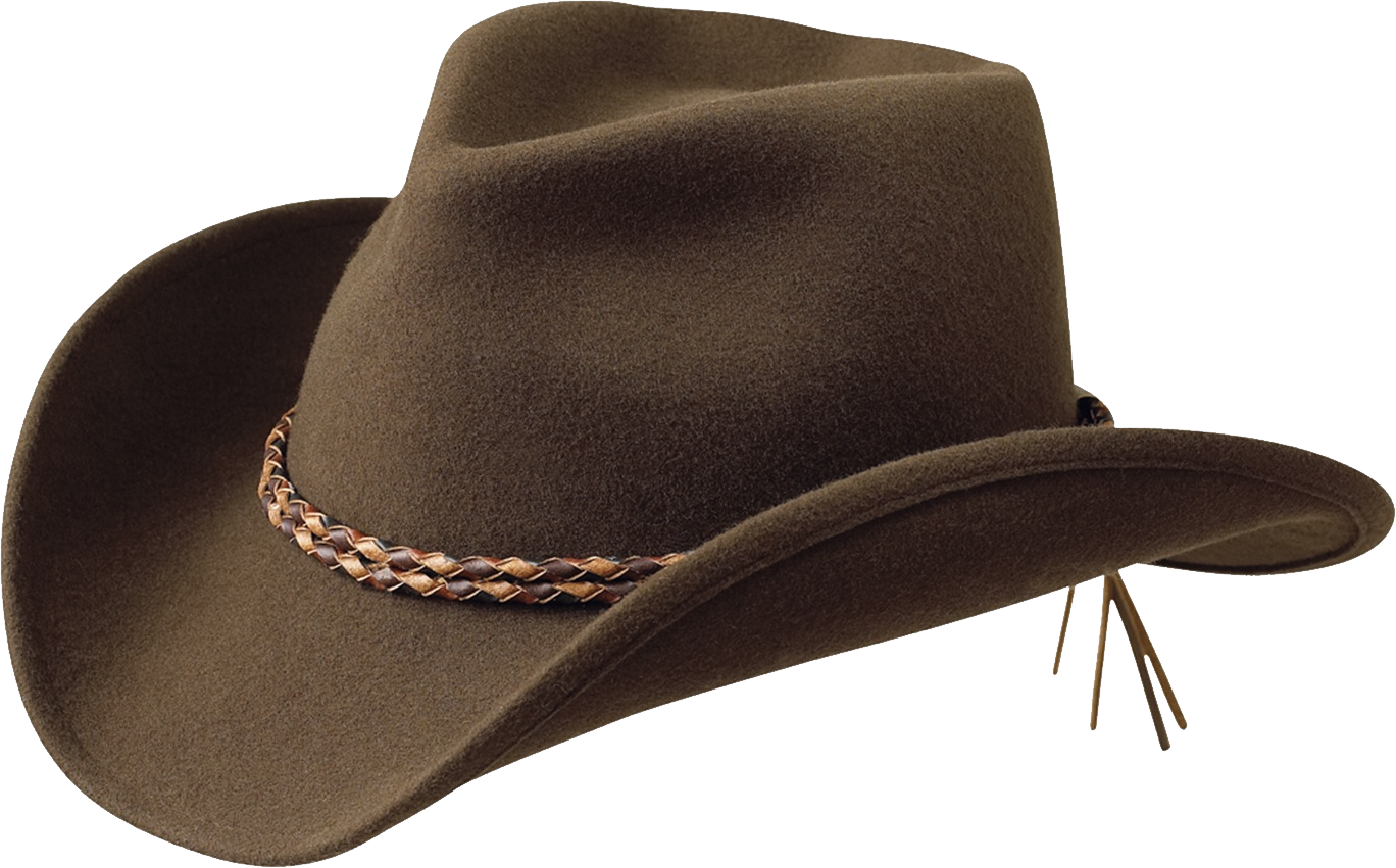 High Quality Cowboy hat 2 Blank Meme Template