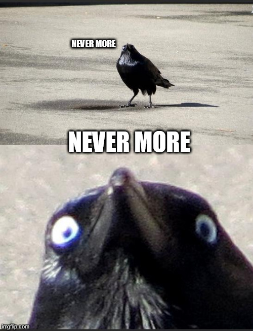 insanity crow | NEVER MORE; NEVER MORE | image tagged in insanity crow | made w/ Imgflip meme maker