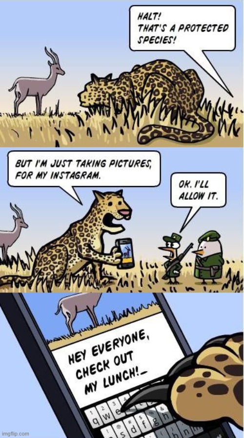image tagged in comics | made w/ Imgflip meme maker