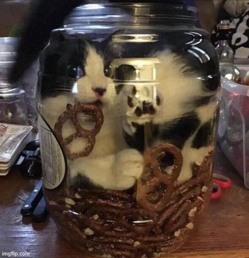 Pretzel Car | image tagged in pretzel car | made w/ Imgflip meme maker