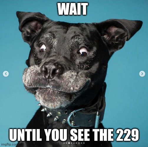 Indubitably Dog | WAIT UNTIL YOU SEE THE 229 | image tagged in indubitably dog | made w/ Imgflip meme maker