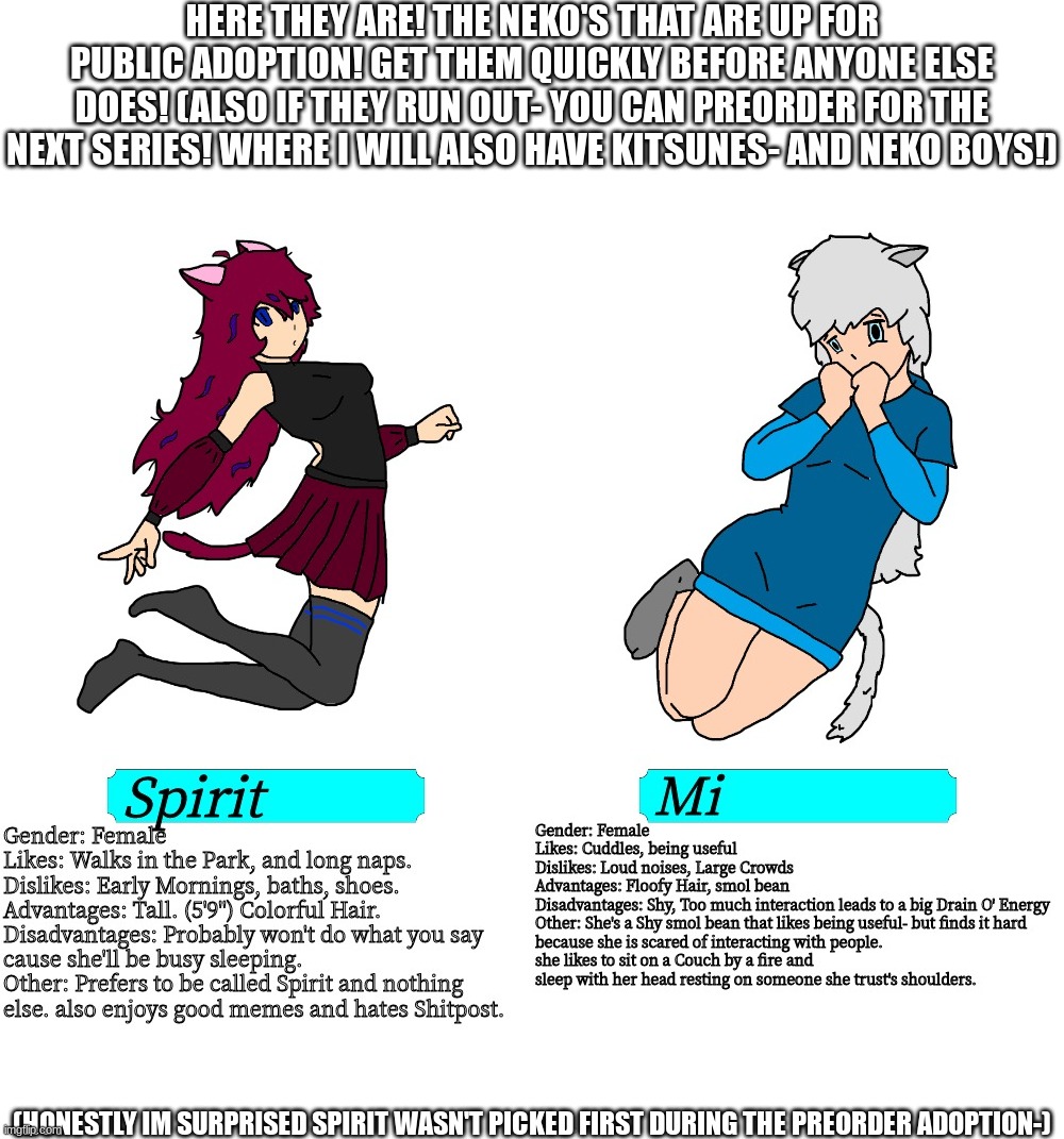  HERE THEY ARE! THE NEKO'S THAT ARE UP FOR PUBLIC ADOPTION! GET THEM QUICKLY BEFORE ANYONE ELSE DOES! (ALSO IF THEY RUN OUT- YOU CAN PREORDER FOR THE NEXT SERIES! WHERE I WILL ALSO HAVE KITSUNES- AND NEKO BOYS!); (HONESTLY IM SURPRISED SPIRIT WASN'T PICKED FIRST DURING THE PREORDER ADOPTION-) | made w/ Imgflip meme maker