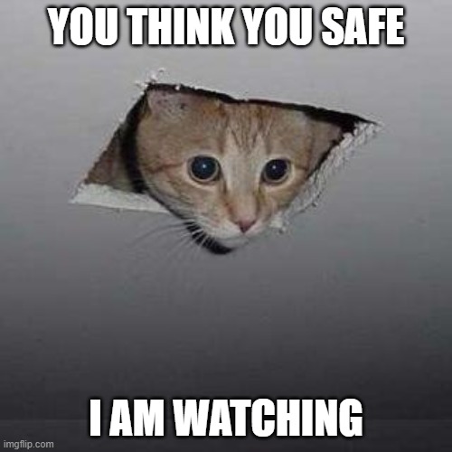 Ceiling Cat |  YOU THINK YOU SAFE; I AM WATCHING | image tagged in memes,ceiling cat | made w/ Imgflip meme maker