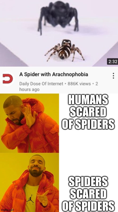 (No title needed) | HUMANS SCARED OF SPIDERS; SPIDERS SCARED OF SPIDERS | image tagged in memes,drake hotline bling | made w/ Imgflip meme maker
