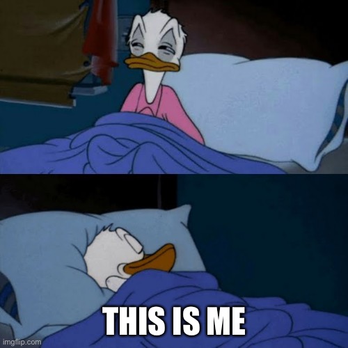 Sleeeep in | THIS IS ME | image tagged in donald duck bed | made w/ Imgflip meme maker