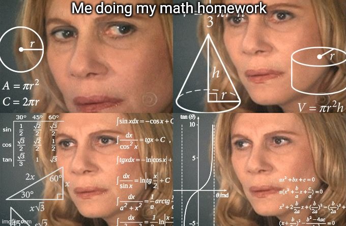 True very true. relatable? D: | Me doing my math homework | image tagged in calculating meme | made w/ Imgflip meme maker