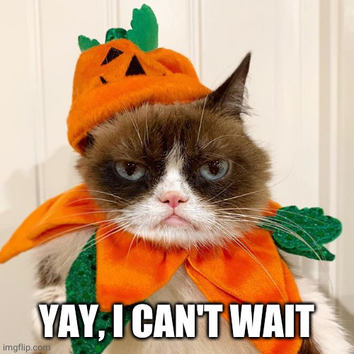Grumpy Cat Halloween | YAY, I CAN'T WAIT | image tagged in grumpy cat halloween | made w/ Imgflip meme maker