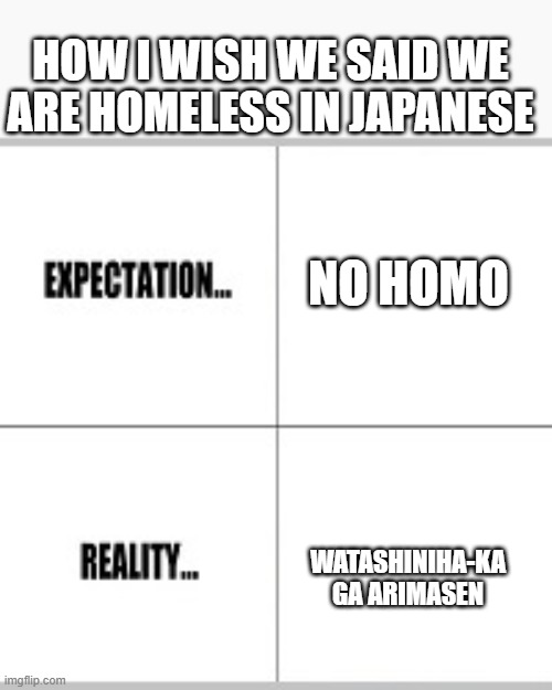 im not a furry i swear | HOW I WISH WE SAID WE ARE HOMELESS IN JAPANESE; NO HOMO; WATASHINIHA-KA GA ARIMASEN | image tagged in expectation vs reality | made w/ Imgflip meme maker