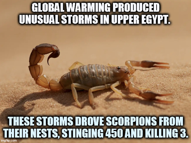 Global warming produces ever more bizarre consequences. | GLOBAL WARMING PRODUCED UNUSUAL STORMS IN UPPER EGYPT. THESE STORMS DROVE SCORPIONS FROM THEIR NESTS, STINGING 450 AND KILLING 3. | image tagged in egypt,killer,scorpion,hospital,death | made w/ Imgflip meme maker