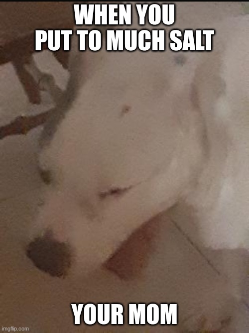 dog | WHEN YOU PUT TO MUCH SALT; YOUR MOM | image tagged in dog | made w/ Imgflip meme maker