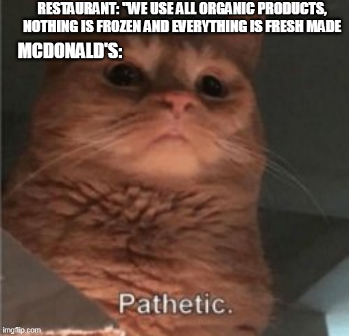 RESTAURANT: "WE USE ALL ORGANIC PRODUCTS, NOTHING IS FROZEN AND EVERYTHING IS FRESH MADE; MCDONALD'S: | image tagged in pathetic cat,mcdonalds | made w/ Imgflip meme maker
