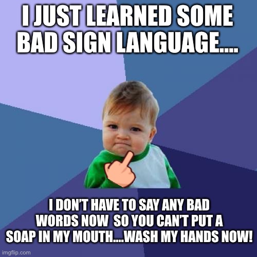 Smart little punk! | I JUST LEARNED SOME BAD SIGN LANGUAGE.... I DON’T HAVE TO SAY ANY BAD WORDS NOW  SO YOU CAN’T PUT A SOAP IN MY MOUTH....WASH MY HANDS NOW! | image tagged in memes,success kid,sign language,middle finger,soap,mouth | made w/ Imgflip meme maker