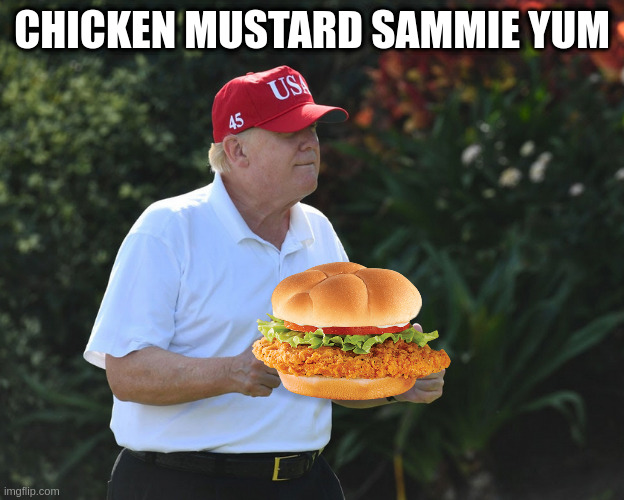 why did i make this? because i can | CHICKEN MUSTARD SAMMIE YUM | image tagged in bs rumpt,can,not,photoshop | made w/ Imgflip meme maker