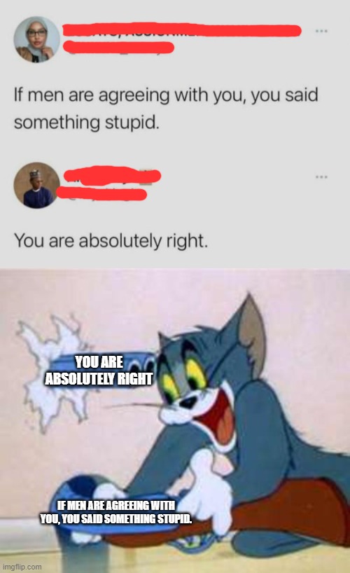 He came back lol! | YOU ARE ABSOLUTELY RIGHT; IF MEN ARE AGREEING WITH YOU, YOU SAID SOMETHING STUPID. | image tagged in tom the cat shooting himself | made w/ Imgflip meme maker