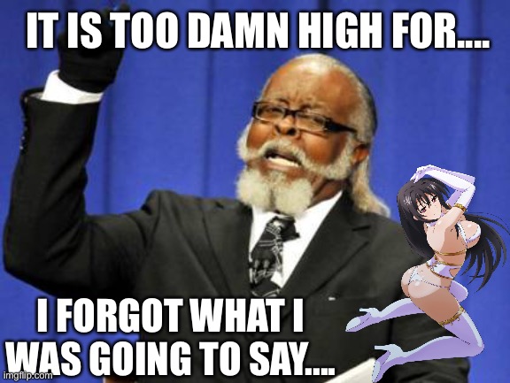 Too Damn High |  IT IS TOO DAMN HIGH FOR.... I FORGOT WHAT I WAS GOING TO SAY.... | image tagged in memes,too damn high,stripper,forgot | made w/ Imgflip meme maker