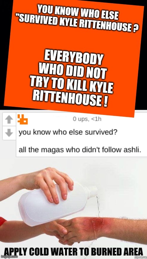 free kyle! | image tagged in apply cold water to burned area,ashli babbitt,kyle rittenhouse,survival,conservative logic,memes | made w/ Imgflip meme maker