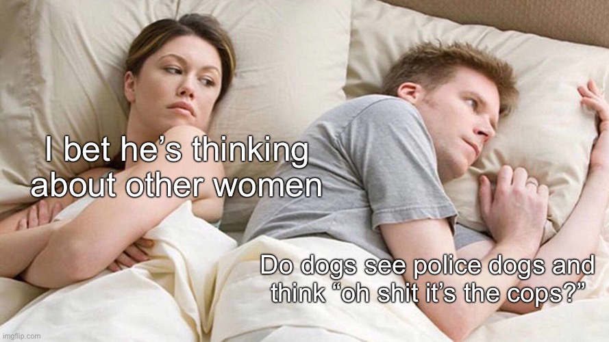 I Bet He's Thinking About Other Women Meme | I bet he’s thinking about other women; Do dogs see police dogs and think “oh shit it’s the cops?” | image tagged in memes,i bet he's thinking about other women | made w/ Imgflip meme maker