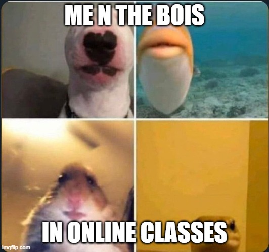online classes | ME N THE BOIS; IN ONLINE CLASSES | image tagged in online classes | made w/ Imgflip meme maker