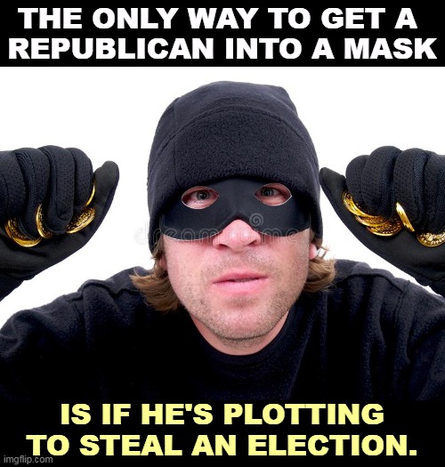 Panicky white supremacists trying to deny reality. | THE ONLY WAY TO GET A 
REPUBLICAN INTO A MASK; IS IF HE'S PLOTTING TO STEAL AN ELECTION. | image tagged in republicans,mask,stealing,elections | made w/ Imgflip meme maker