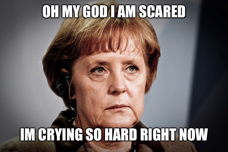 Laughs in German | OH MY GOD I AM SCARED IM CRYING SO HARD RIGHT NOW | image tagged in laughs in german | made w/ Imgflip meme maker