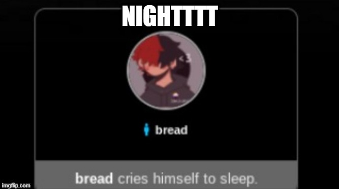 im going to bed | NIGHTTTT | image tagged in nightttt | made w/ Imgflip meme maker