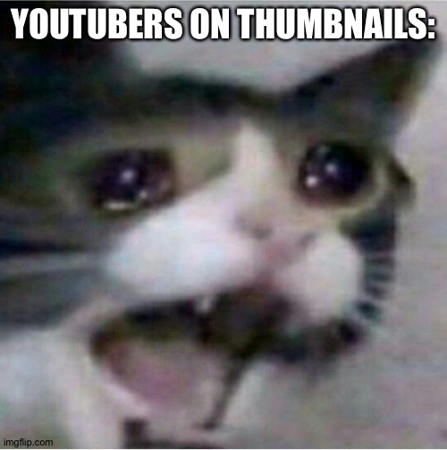 crying cat | YOUTUBERS ON THUMBNAILS: | image tagged in crying cat | made w/ Imgflip meme maker