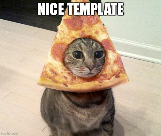 pizza cat | NICE TEMPLATE | image tagged in pizza cat | made w/ Imgflip meme maker