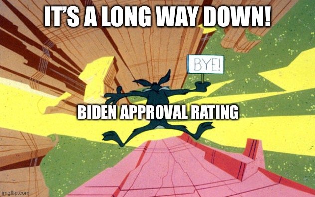 Has not hit bottom yet! | IT’S A LONG WAY DOWN! BIDEN APPROVAL RATING | image tagged in wile e coyote falling off of cliff,biden,approval rating | made w/ Imgflip meme maker