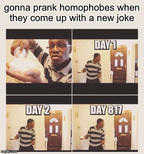 gonna prank x when he/she gets home | gonna prank homophobes when they come up with a new joke | image tagged in gonna prank x when he/she gets home | made w/ Imgflip meme maker