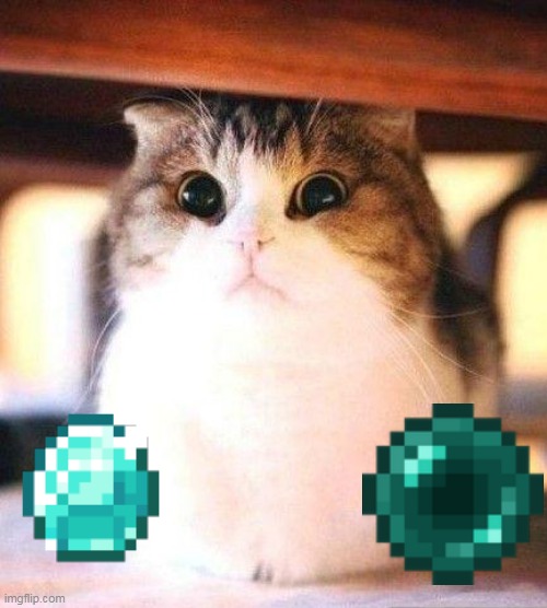 Minecraft Player Cat | image tagged in cute cat | made w/ Imgflip meme maker
