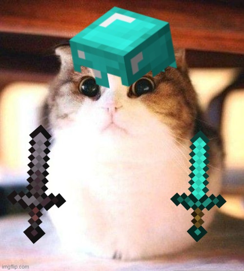 Minecraft Player Cat 2 | image tagged in cat minecraft | made w/ Imgflip meme maker