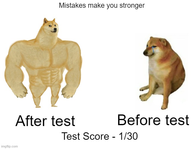 Buff Doge vs. Cheems | Mistakes make you stronger; After test; Before test; Test Score - 1/30 | image tagged in memes,buff doge vs cheems | made w/ Imgflip meme maker