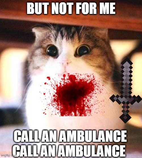 die | BUT NOT FOR ME; CALL AN AMBULANCE CALL AN AMBULANCE | image tagged in minecraft | made w/ Imgflip meme maker