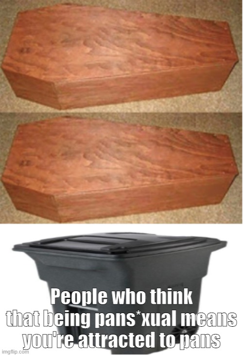 I have nothing against pansexuals. If you think that's it what it means, die. | People who think that being pans*xual means you're attracted to pans | image tagged in rich people poor people trash can edition,u can't fix stupid | made w/ Imgflip meme maker