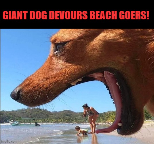 Giant dog attacks beach goers | GIANT DOG DEVOURS BEACH GOERS! | image tagged in giant dog,beach | made w/ Imgflip meme maker