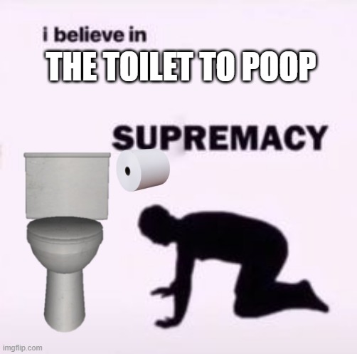 this real toilet doesn't exi- | THE TOILET TO POOP | image tagged in i believe in supremacy,toilet,toilet paper | made w/ Imgflip meme maker