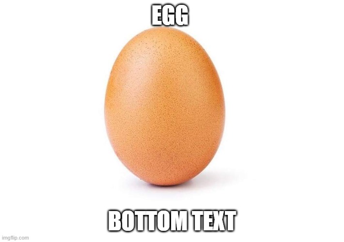 Eggbert | EGG; BOTTOM TEXT | image tagged in eggbert | made w/ Imgflip meme maker