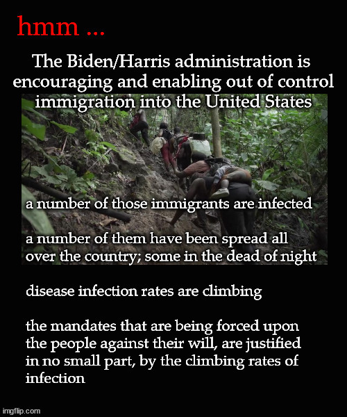 Biden/Harris allowing out of control immigration, why? | image tagged in covid,biden,harris,immigration | made w/ Imgflip meme maker