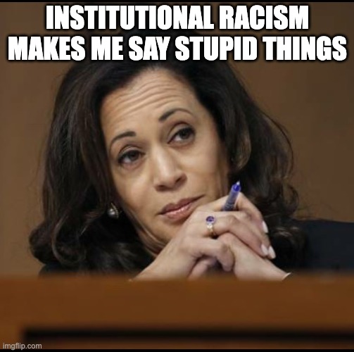 The Victim President | INSTITUTIONAL RACISM MAKES ME SAY STUPID THINGS | image tagged in kamala harris | made w/ Imgflip meme maker