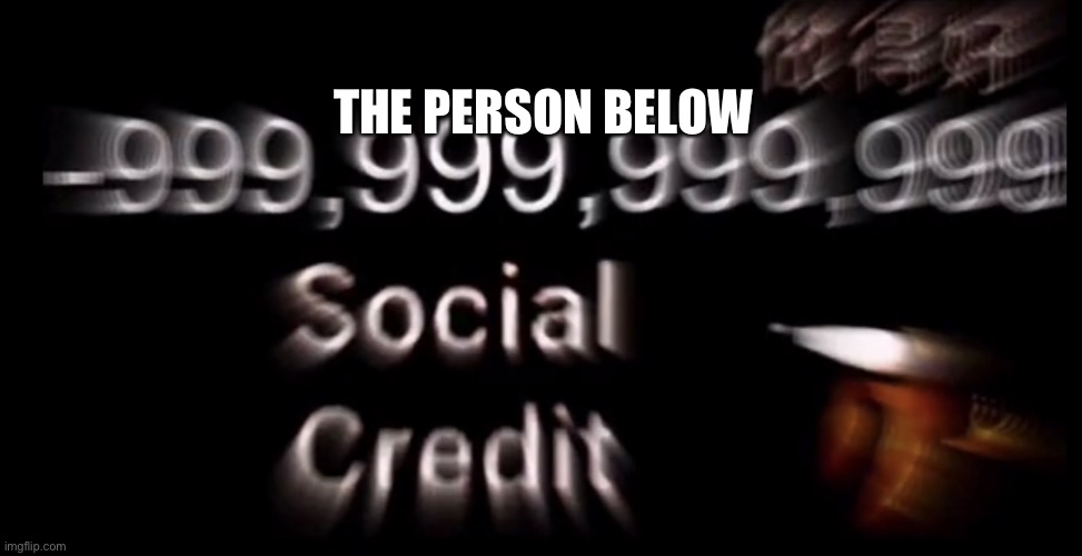 -999,999,999,999 social credit | THE PERSON BELOW | image tagged in -999 999 999 999 social credit | made w/ Imgflip meme maker