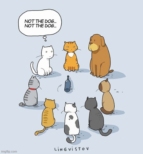 A Cat's Way Of Thinking | image tagged in memes,comics,cats,not,the,dog | made w/ Imgflip meme maker