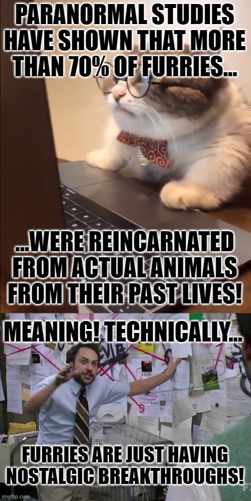 I might be a bit drunk, But that is true! | PARANORMAL STUDIES HAVE SHOWN THAT MORE THAN 70% OF FURRIES... ...WERE REINCARNATED FROM ACTUAL ANIMALS FROM THEIR PAST LIVES! MEANING! TECHNICALLY... FURRIES ARE JUST HAVING NOSTALGIC BREAKTHROUGHS! | image tagged in research cat,charlie conspiracy always sunny in philidelphia,memes,furry,reincarnation | made w/ Imgflip meme maker