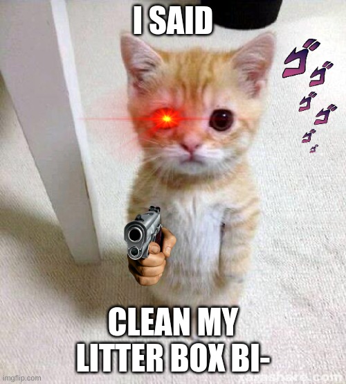 Clean his litter box whats wrong with you?! | I SAID; CLEAN MY LITTER BOX BI- | image tagged in memes,cute cat | made w/ Imgflip meme maker