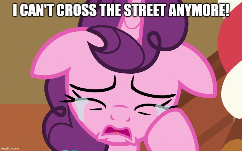 I CAN'T CROSS THE STREET ANYMORE! | made w/ Imgflip meme maker