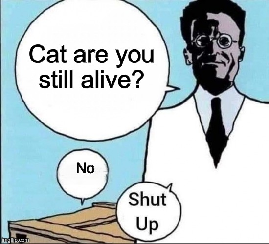 Schrödinger's cat | Cat are you still alive? No | image tagged in schr dinger's cat | made w/ Imgflip meme maker