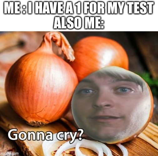 Gonna cry onion | ME : I HAVE A 1 FOR MY TEST
ALSO ME: | image tagged in gonna cry onion | made w/ Imgflip meme maker