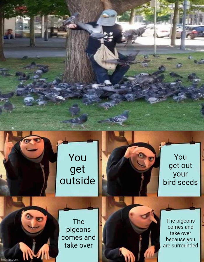 If pigeons take over while you are a pigeon... | You get outside; You get out your bird seeds; The pigeons comes and take over; The pigeons comes and take over because you are surrounded | image tagged in memes,gru's plan,funny,dr phil what's wrong with people,you had one job,relatable | made w/ Imgflip meme maker